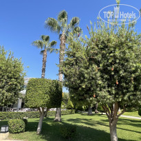 фото из отзыва ID 2727455