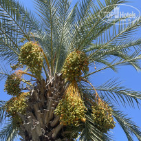 фото из отзыва ID 2727455