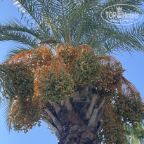 фото из отзыва ID 2727455