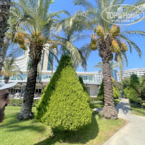 фото из отзыва ID 2727455