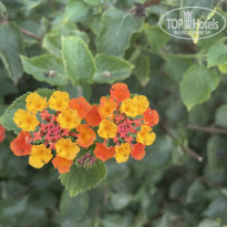 фото из отзыва ID 2727455