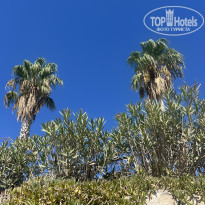 фото из отзыва ID 2727456