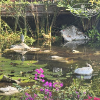 фото из отзыва ID 2727480