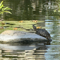 фото из отзыва ID 2727480