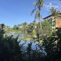 фото из отзыва ID 2727480