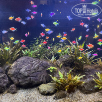 фото из отзыва ID 2727480