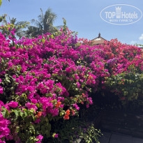 фото из отзыва ID 2727480