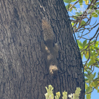 фото из отзыва ID 2727480