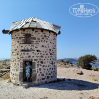 фото из отзыва ID 2727486