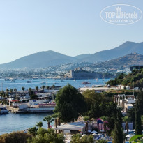 фото из отзыва ID 2727486