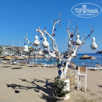 фото из отзыва ID 2727486