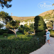 фото из отзыва ID 2727486