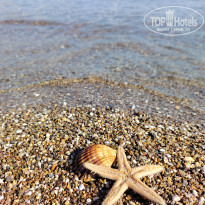 фото из отзыва ID 2727486