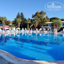 фото из отзыва ID 2727486