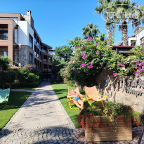 фото из отзыва ID 2727486