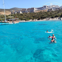 фото из отзыва ID 2727486