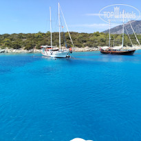 фото из отзыва ID 2727486