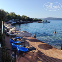 фото из отзыва ID 2727486