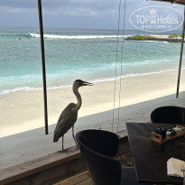 фото из отзыва ID 2727498