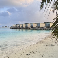 фото из отзыва ID 2727498