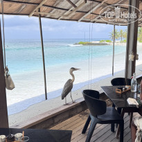 фото из отзыва ID 2727498