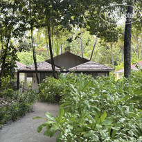 фото из отзыва ID 2727498