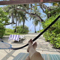 фото из отзыва ID 2727498