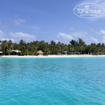 фото из отзыва ID 2727498