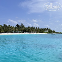 фото из отзыва ID 2727498