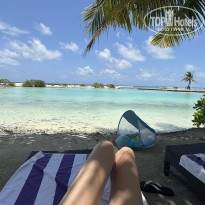 фото из отзыва ID 2727498