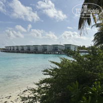 фото из отзыва ID 2727498