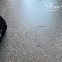 фото из отзыва ID 2727508