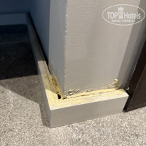 фото из отзыва ID 2727508