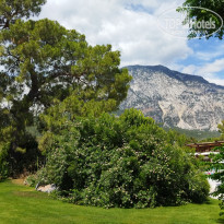 фото из отзыва ID 2727524