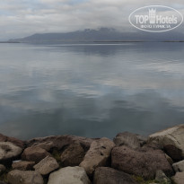 фото из отзыва ID 2727544