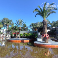 фото из отзыва ID 2727549