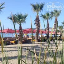 фото из отзыва ID 2727549