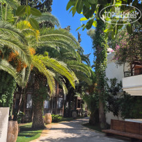 фото из отзыва ID 2727549