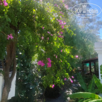 фото из отзыва ID 2727549