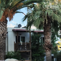 фото из отзыва ID 2727549