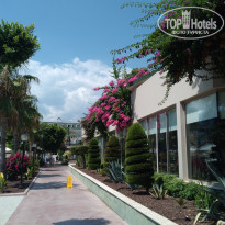 фото из отзыва ID 2727472