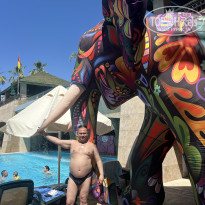 фото из отзыва ID 2727583