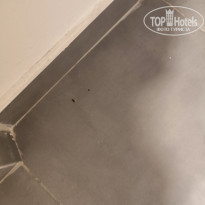 фото из отзыва ID 2727590