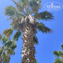 фото из отзыва ID 2727612