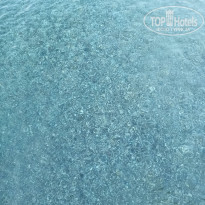 фото из отзыва ID 2727616