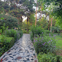 фото из отзыва ID 2727627