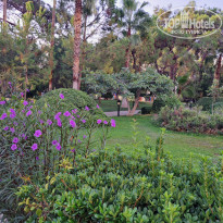 фото из отзыва ID 2727627