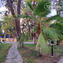 фото из отзыва ID 2727627