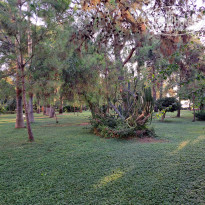 фото из отзыва ID 2727627