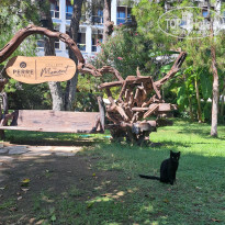 фото из отзыва ID 2727627